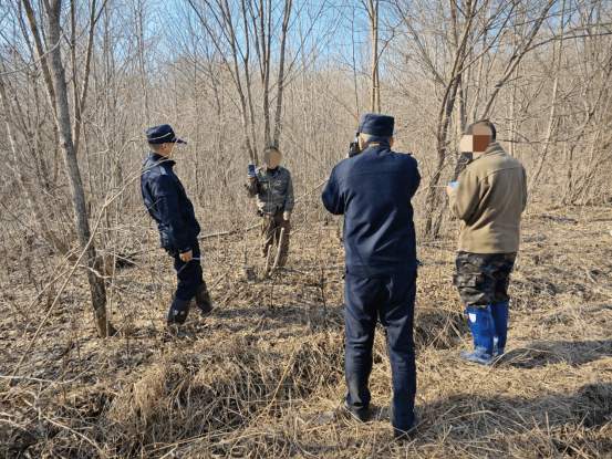 黑龙江林区非法采伐国家二级保护植物案(图1)