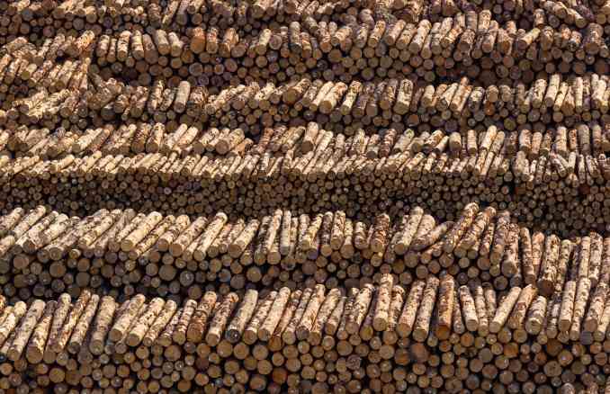 中国木材进口量额双降 9月环比反弹(图1)