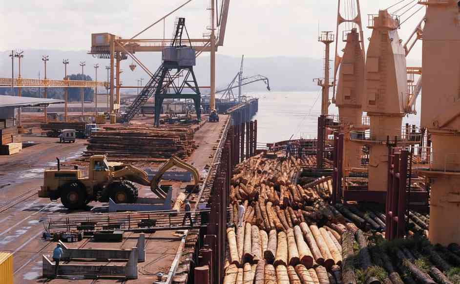 美国木材出口面临新成本压力，中国进口格局生变(图2)