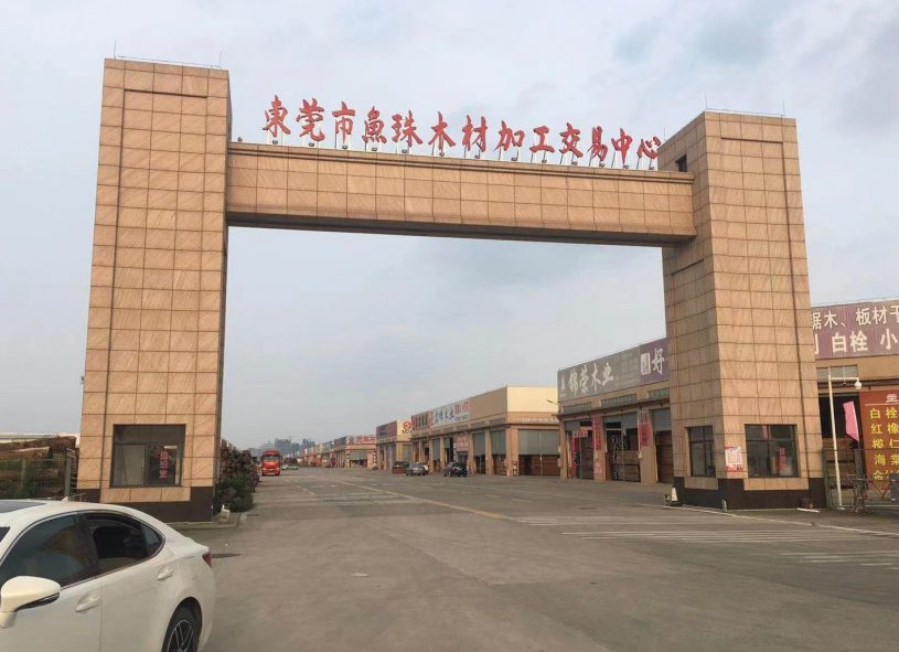 广东木材市场全解析：核心枢纽与产业影响(图1)