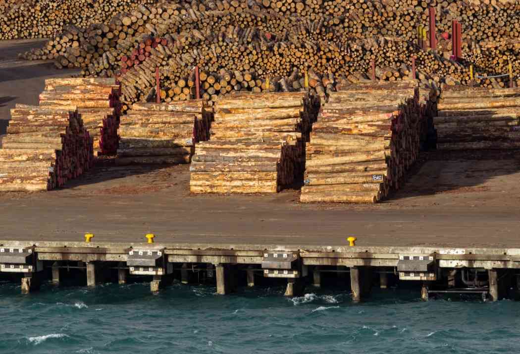 中国原木及锯材进口持续下滑，需求成本双压(图3)