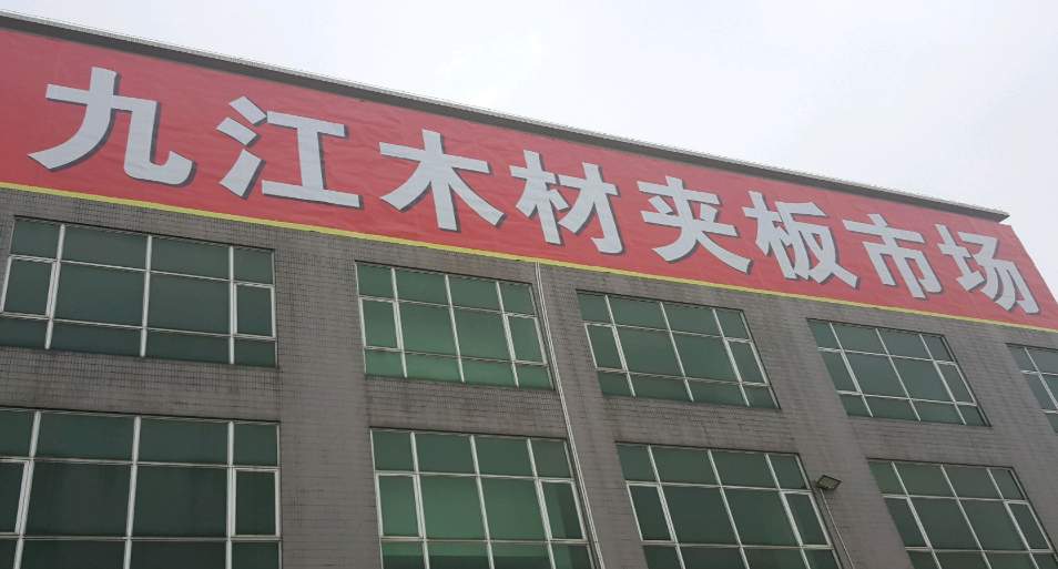 广东木材市场全解析：核心枢纽与产业影响(图4)