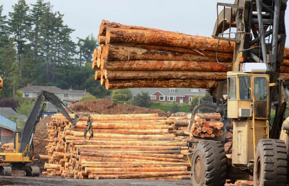 中国木材进口量额双降 9月环比反弹(图8)