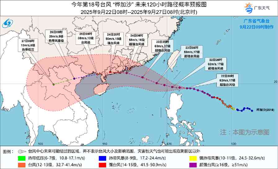 超强台风致广东木材市场停业 企业面临双重风险(图1)