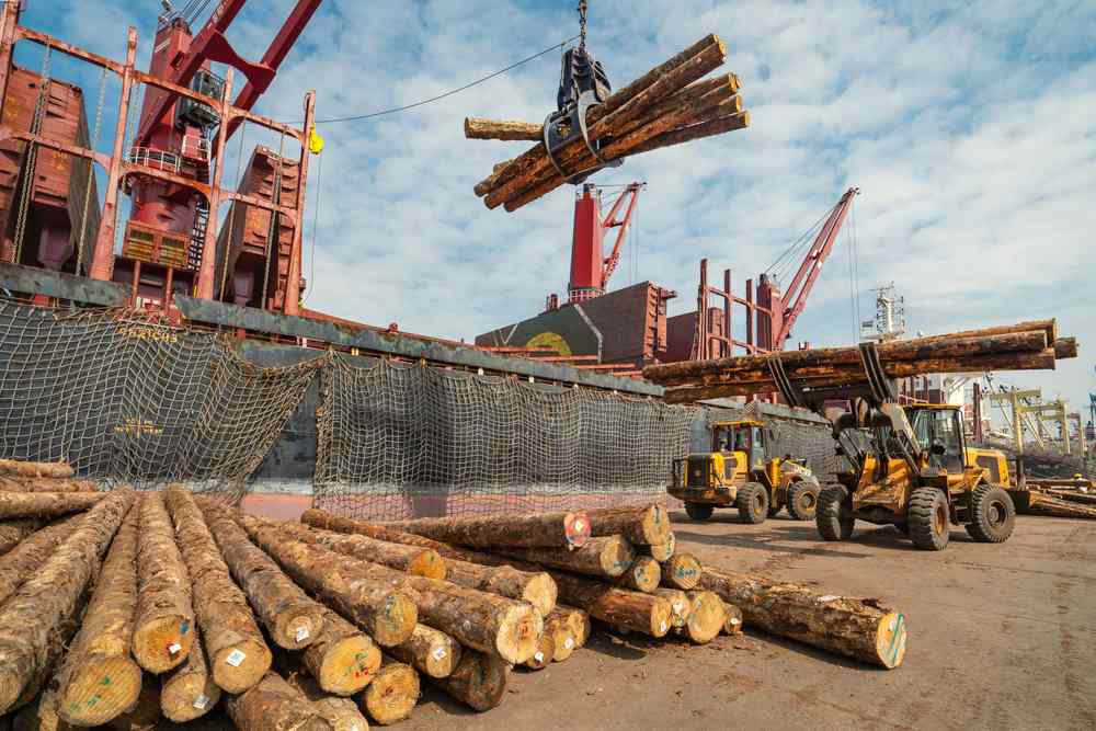 新西兰木材贸易重启印度市场机遇(图1)
