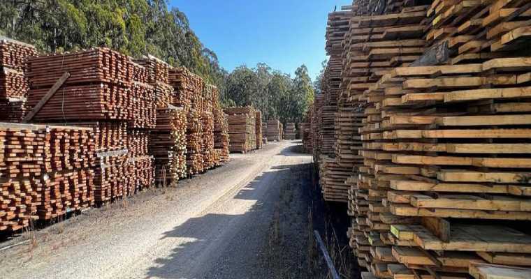 澳大利亚木材纤维战略推动可持续发展(图1)