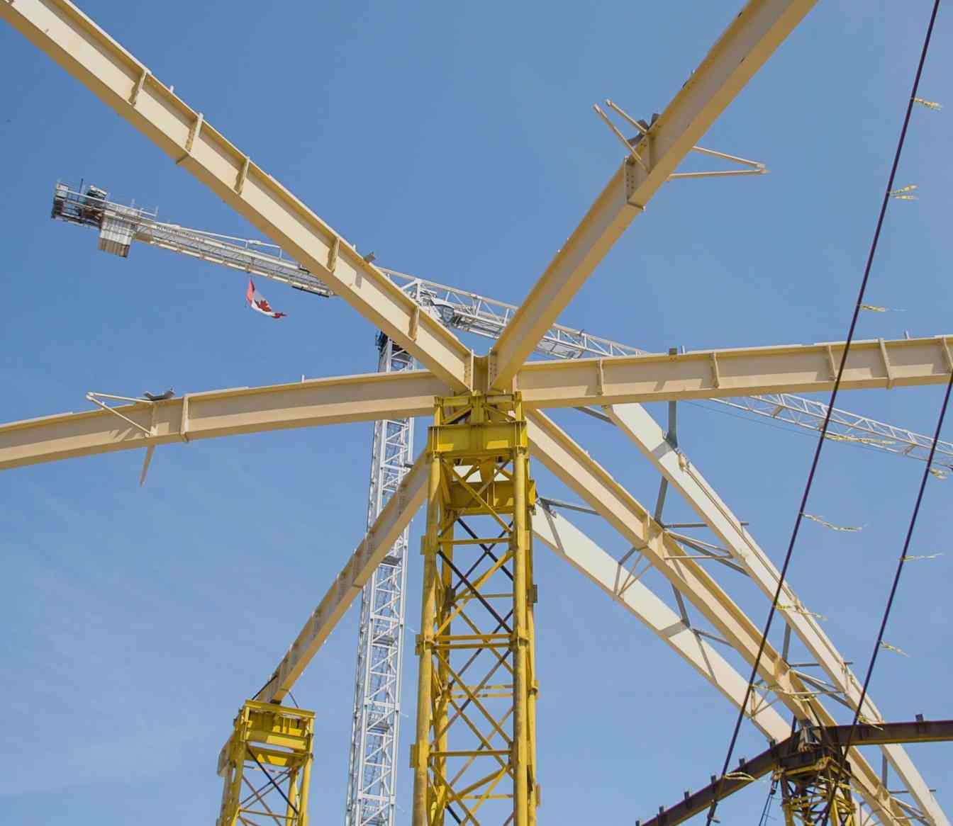 全球最大无支撑木结构屋顶创新设计(图3)