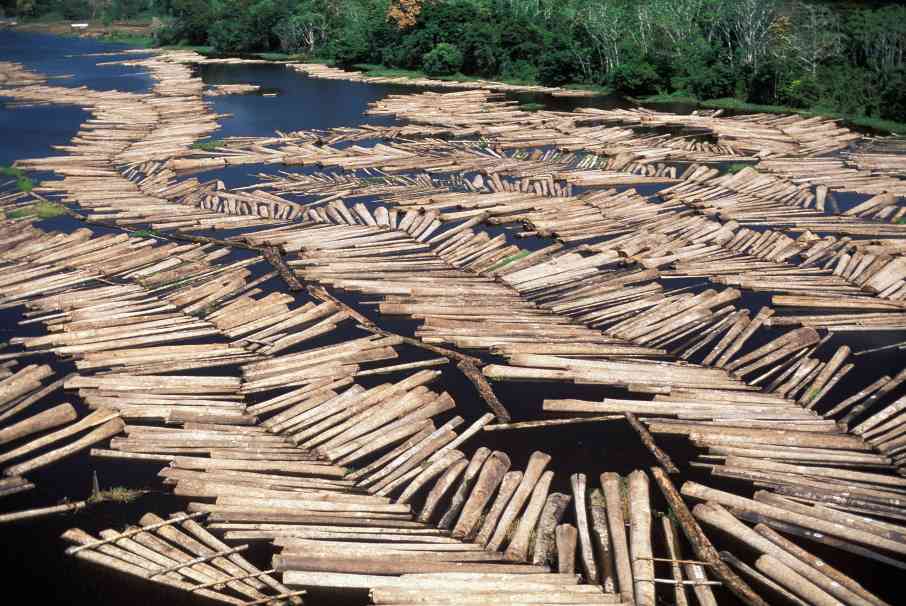 新南威尔士州碳模型缺陷遭质疑 排放泄漏风险引行业担忧(图1)