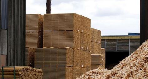 维达收购瑞典锯木厂 提升产能与市场地位(图1)