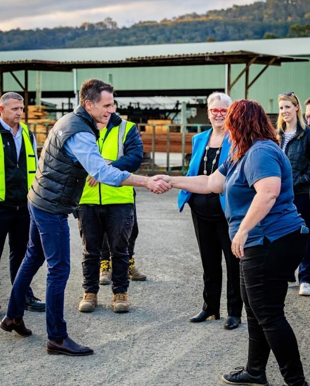 新南威尔士州长面临硬木供应与生态保护关键抉择(图2)