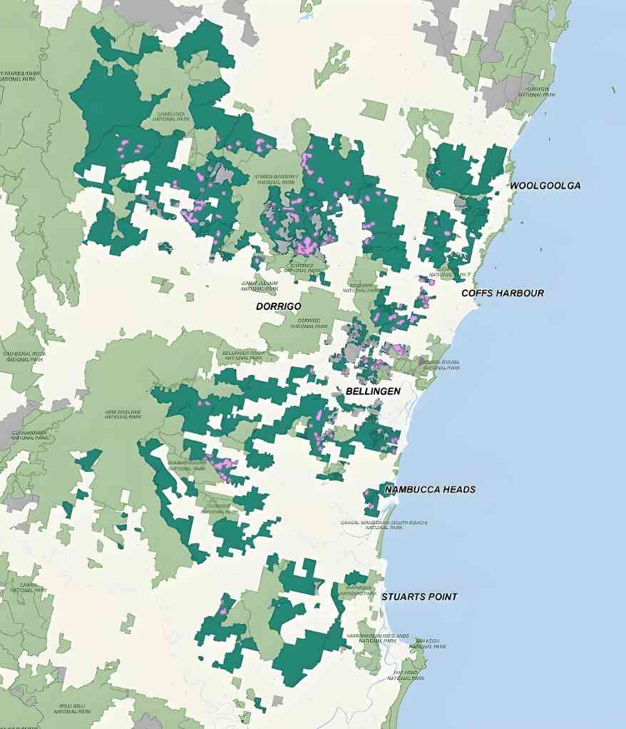 新南威尔士州长面临硬木供应与生态保护关键抉择(图7)