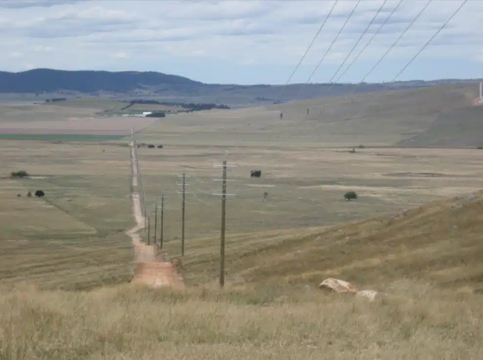 新南威尔士州长面临硬木供应与生态保护关键抉择(图12)