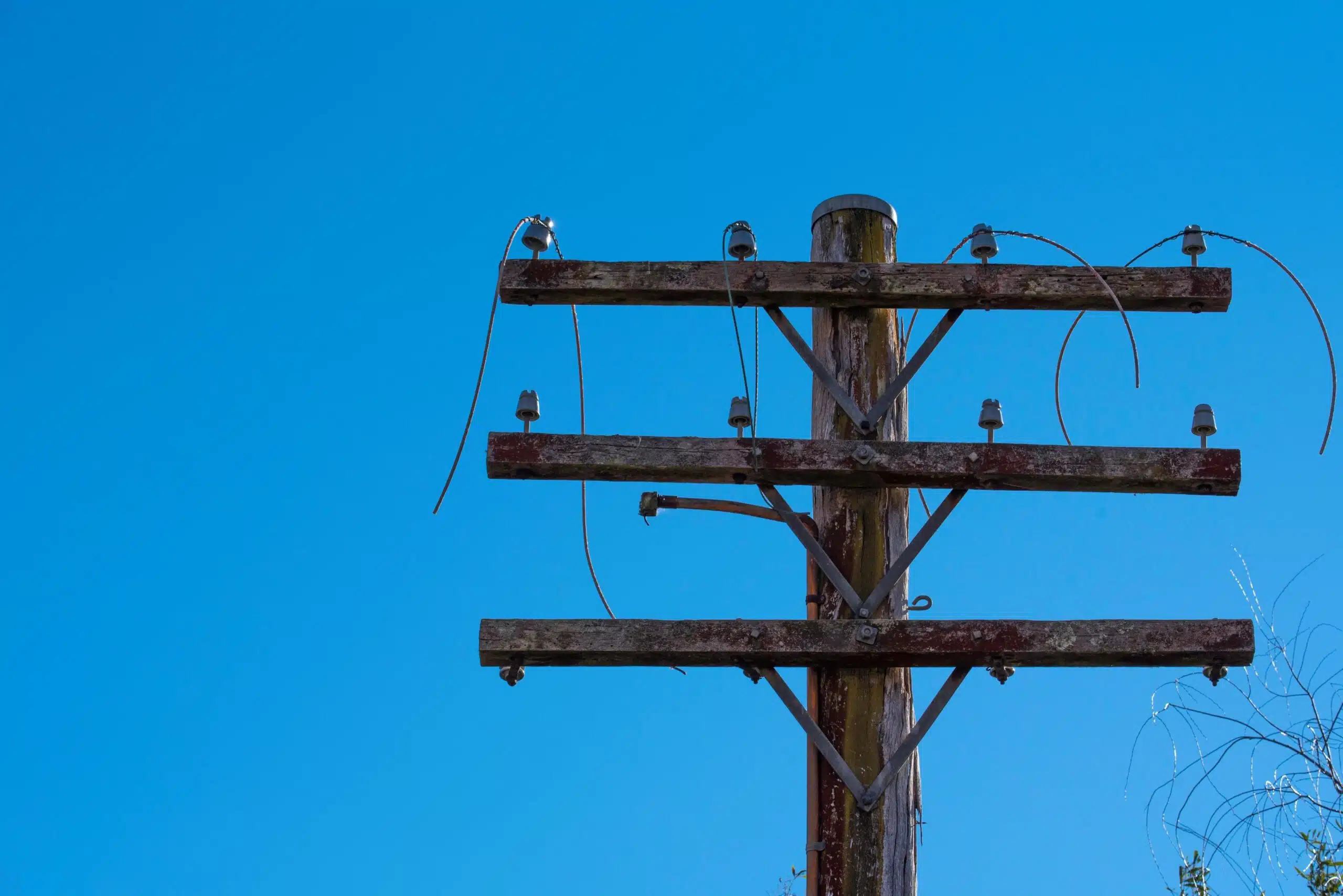 新南威尔士州长面临硬木供应与生态保护关键抉择(图11)