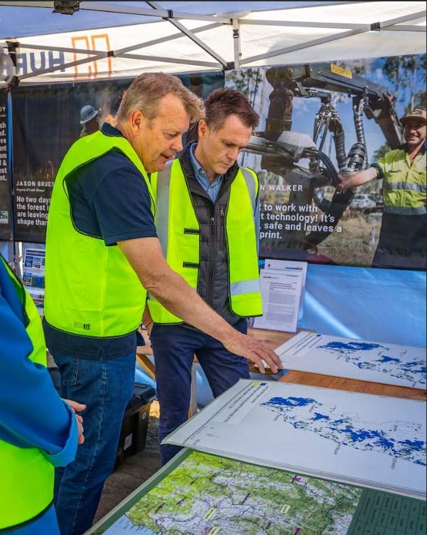 新南威尔士州长面临硬木供应与生态保护关键抉择(图10)