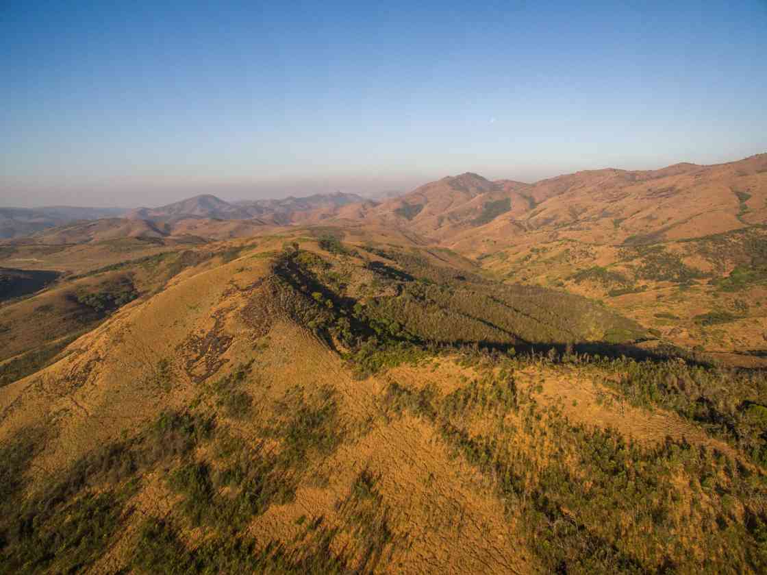 殖民时期景观改造致尼尔吉里草原鸟类骤降(图1)