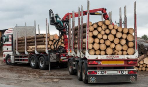 奥地利木材市场库存充足 价格稳定 林业保护受重视(图1)