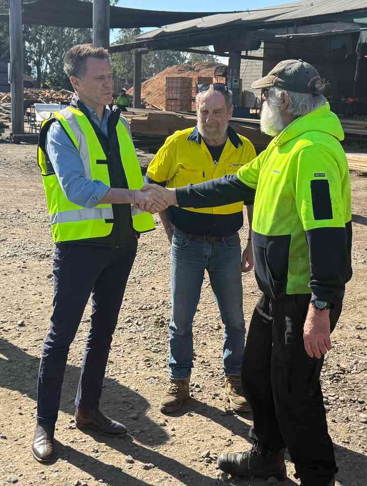 新南威尔士州长面临硬木供应与生态保护关键抉择(图9)