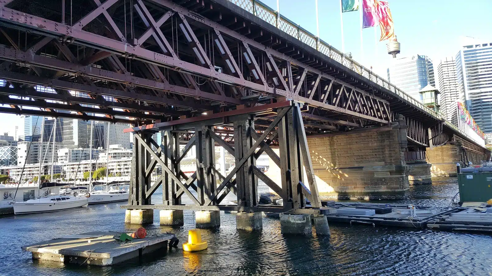 新南威尔士州长面临硬木供应与生态保护关键抉择(图4)