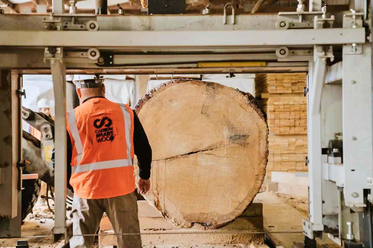 人工智能助力木材废料变高价值产品，构建可持续供应链(图1)