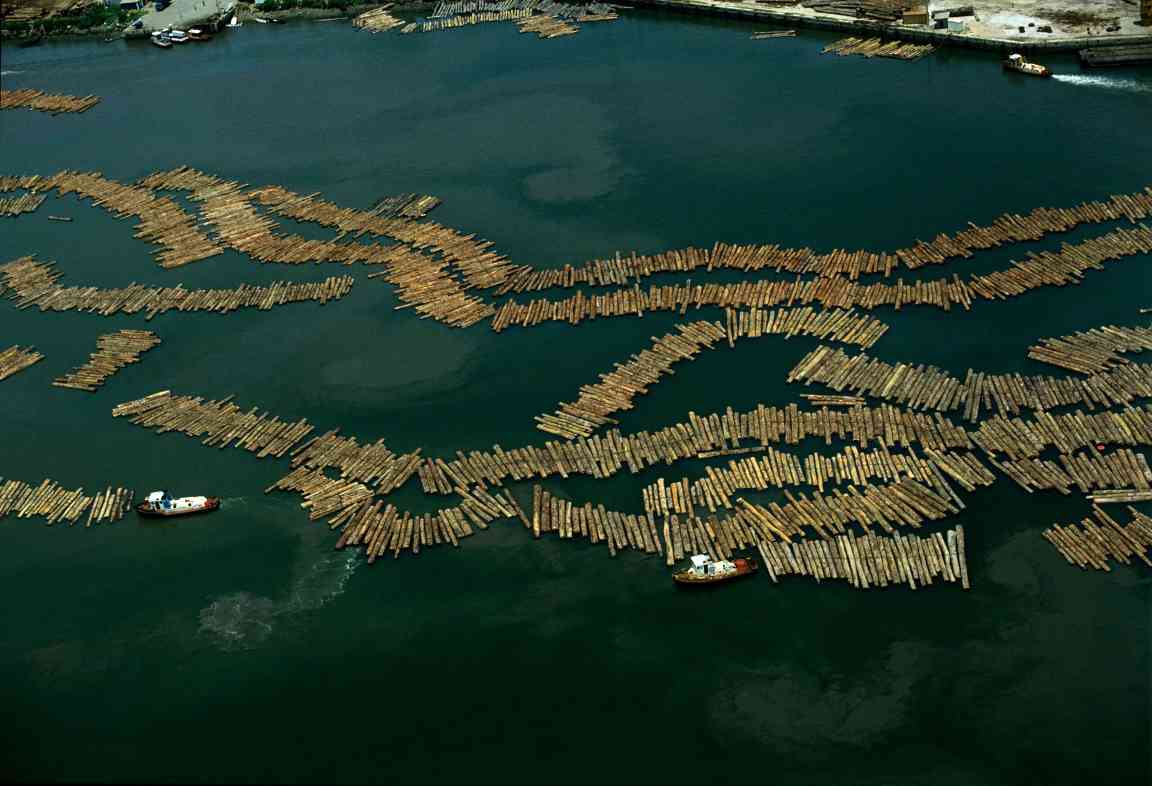 欧盟毁林法规临近 木制品供应链风险凸显(图4)