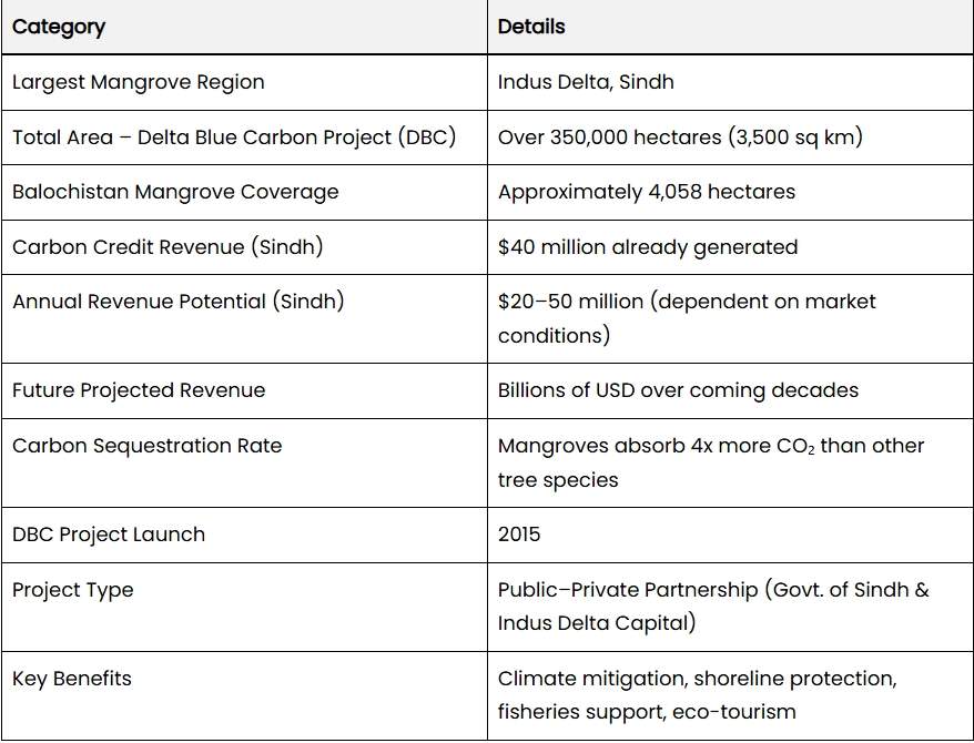 巴基斯坦红树林碳信用收入达数亿美元，生态效益显著(图2)
