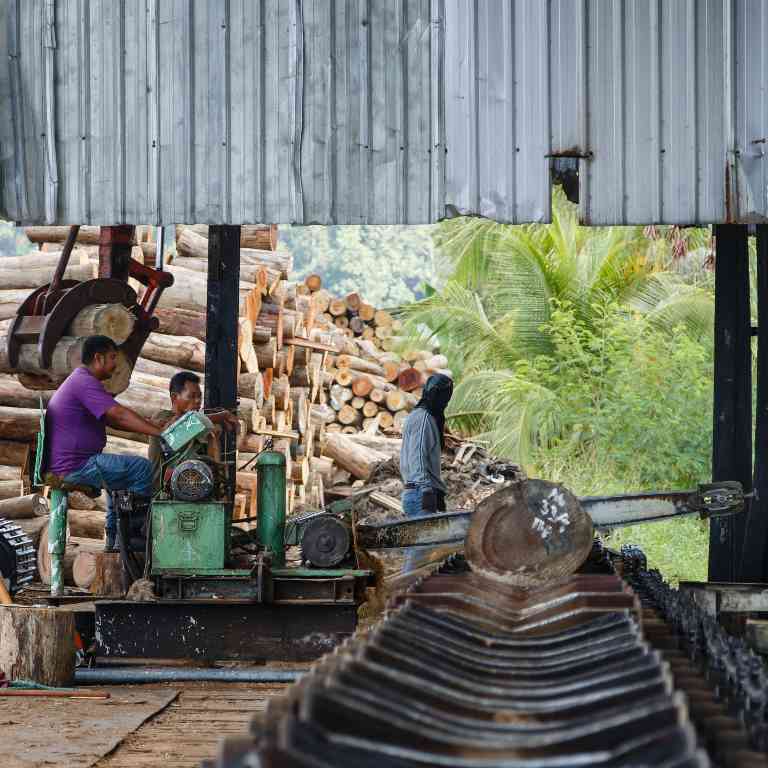 欧盟毁林法规临近 木制品供应链风险凸显(图1)