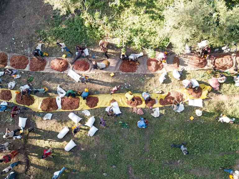 欧盟毁林法规临近 木制品供应链风险凸显(图3)