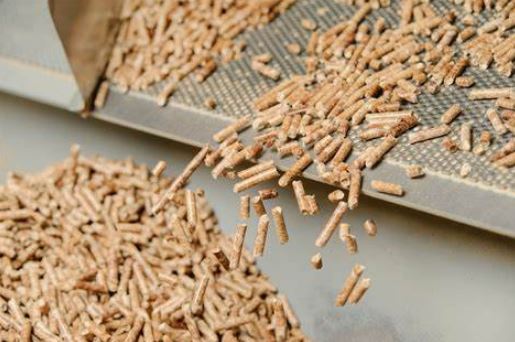 美国8000万美元木材创新资金助力森林管理与能源发展(图1)