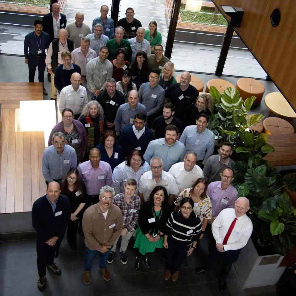 H2F处理木材抗洪防白蚁性能验证(图4)