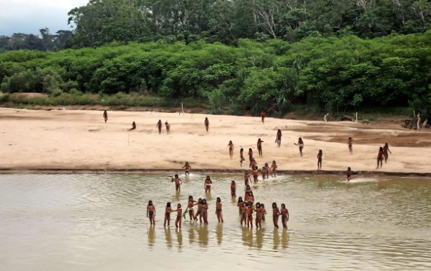 FSC强化保护自愿隔离原住民策略，森林认证体系面临新挑战(图1)