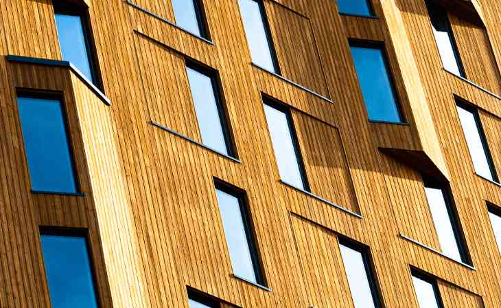 这地推行：将木材用于建筑和供暖(图3)