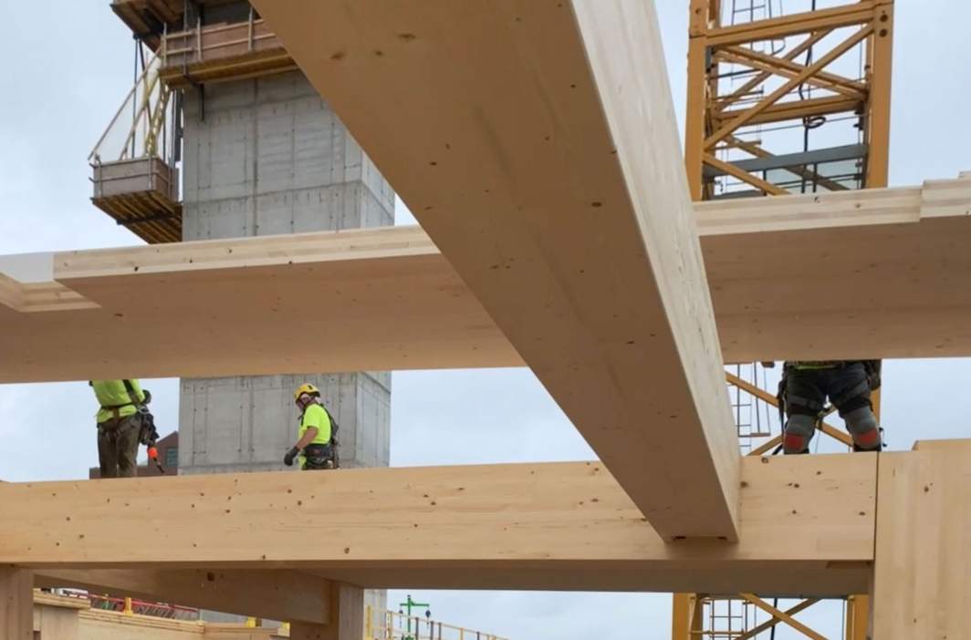 这地推行：将木材用于建筑和供暖(图2)