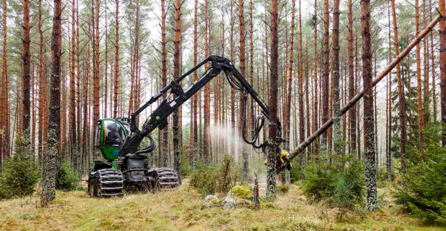 新西兰印度贸易谈判促木材出口机遇(图2)