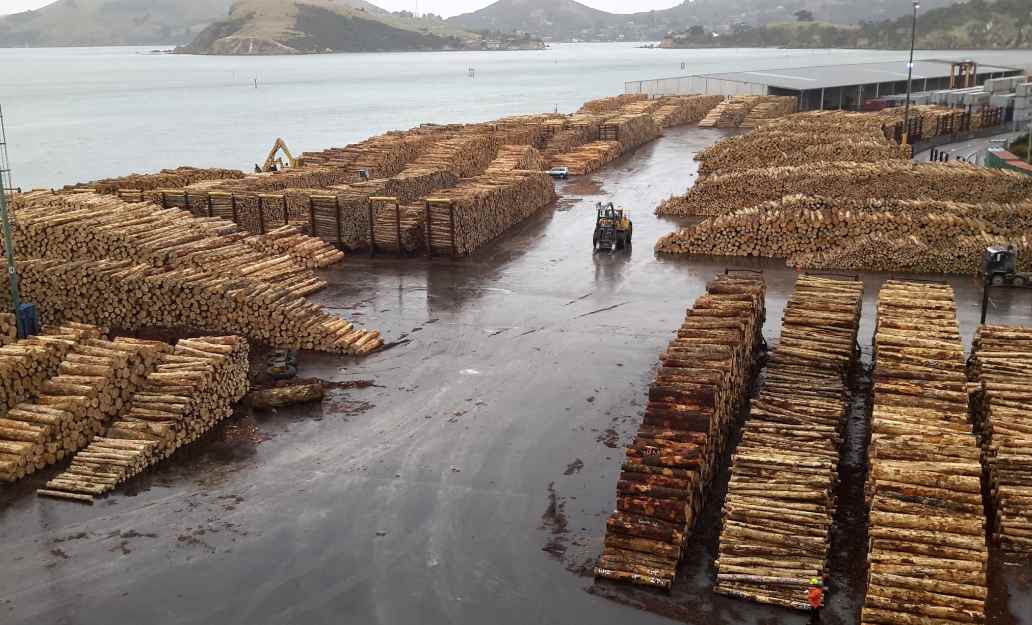 新西兰印度贸易谈判促木材出口机遇(图3)