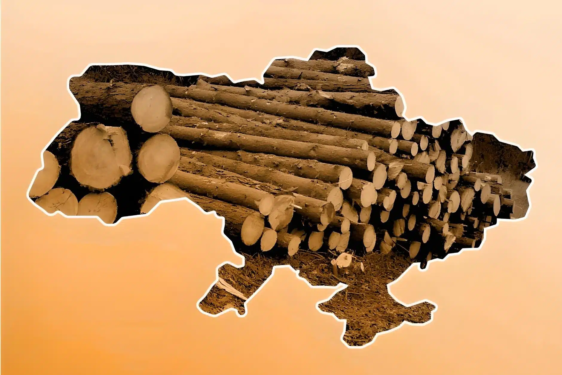 乌克兰战争经济中的非法砍伐与腐败问题(图2)