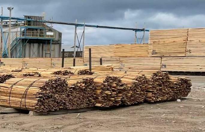 美国对加拿大软木反倾销税提高推高房价压力(图1)