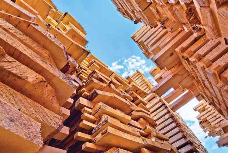 美国对加拿大软木反倾销税提高推高房价压力(图2)