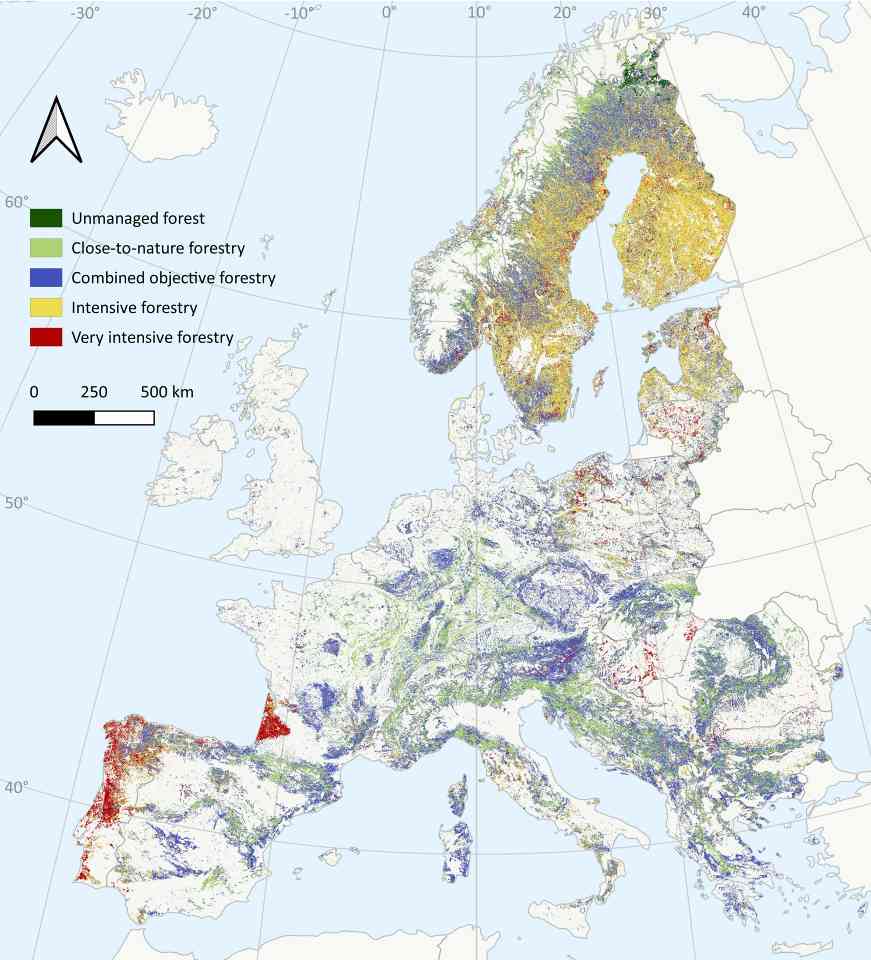欧洲林业崛起：绿色经济关键支柱与投资机遇(图3)