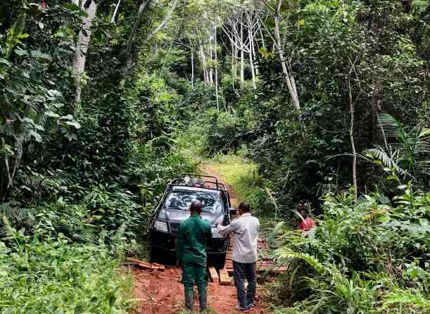 喀麦隆森林生态价值达619亿美元,碳固存占比96%(图2) 喀麦隆森林生态价值达619亿美元,碳固存占比96%(图2)