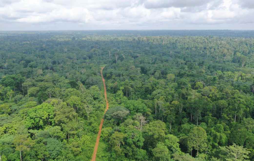 喀麦隆森林生态价值达619亿美元,碳固存占比96%(图3) 喀麦隆森林生态价值达619亿美元,碳固存占比96%(图3)