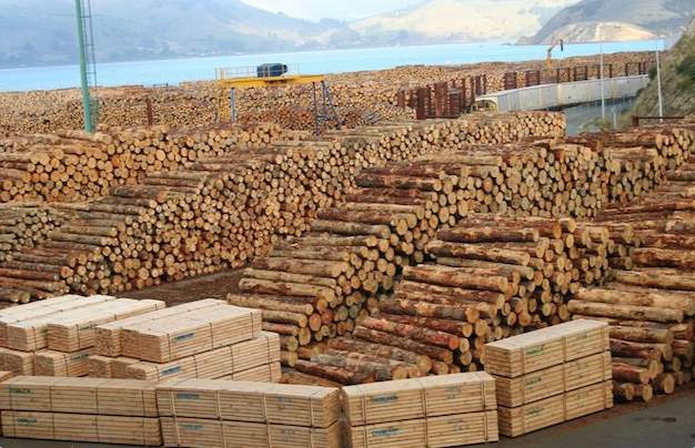 俄罗斯木材出口政策推动交易所交易增长(图2)