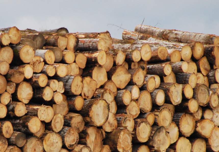 俄罗斯木材出口政策推动交易所交易增长(图1)