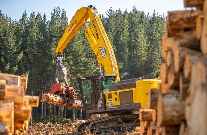 住友林业布局北美木材供应 筑牢供应链优势(图3)