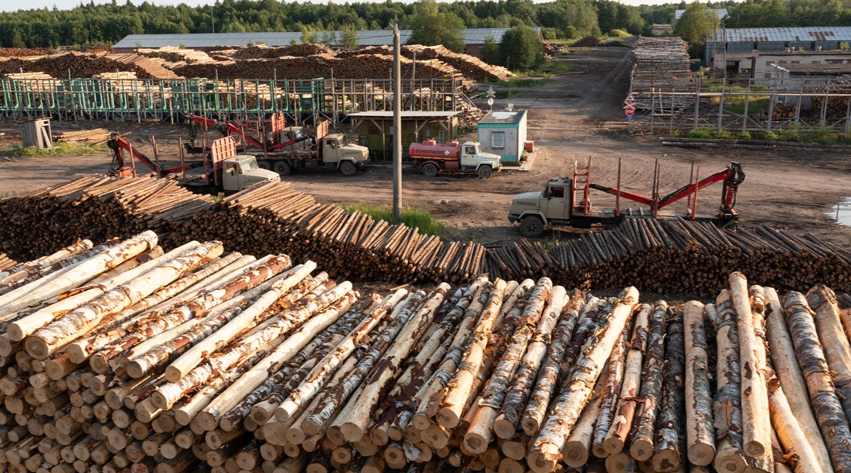 俄罗斯木材出口中国增长 9.74万立方米(图2)