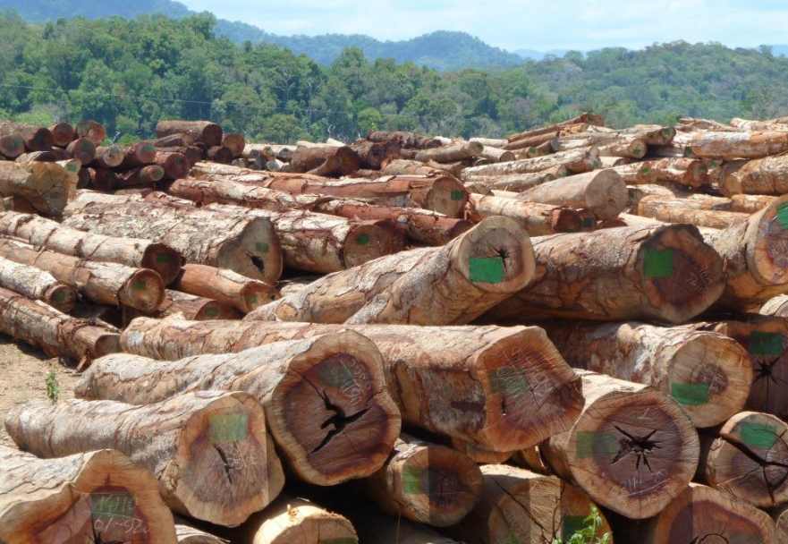 重创！一木材大厂濒临倒闭！超800人面临失业，当地：绝不坐视不管(图3)