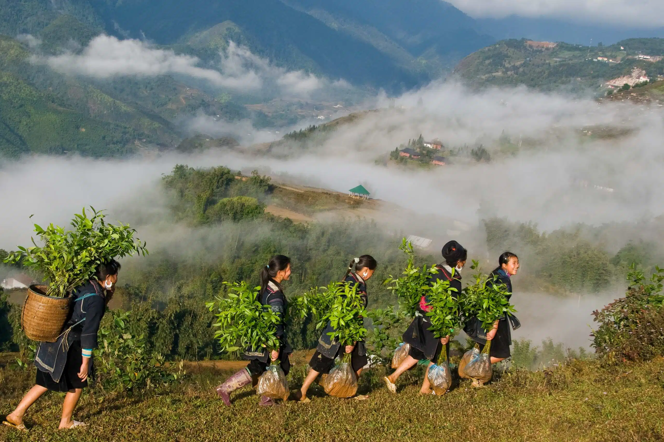 小农户供应链遇合规难题，欧盟 EUDR 遭质疑 WDK 呼吁简化天然橡胶追溯流程(图2)