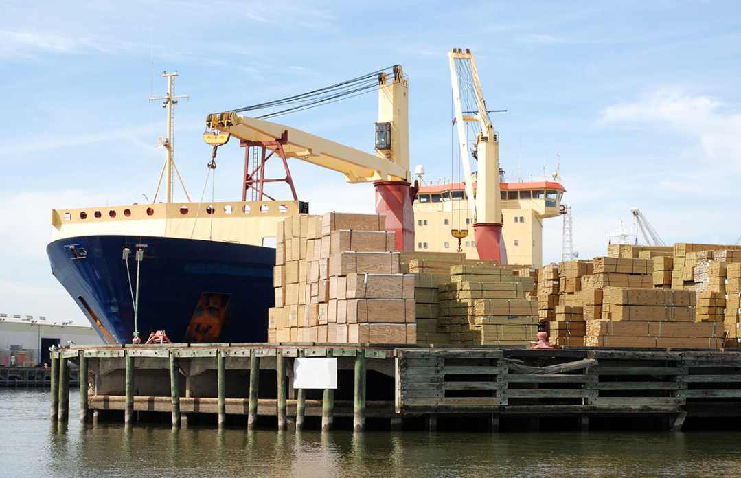 木头贵疯了！商家：几乎上涨三分之一！中国木材厂订单要悬？(图2)