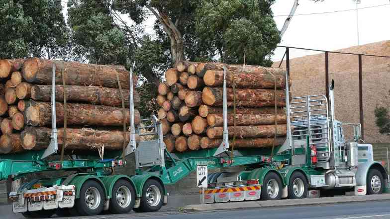 澳大利亚2035年减排目标依赖木材解决方案(图1)