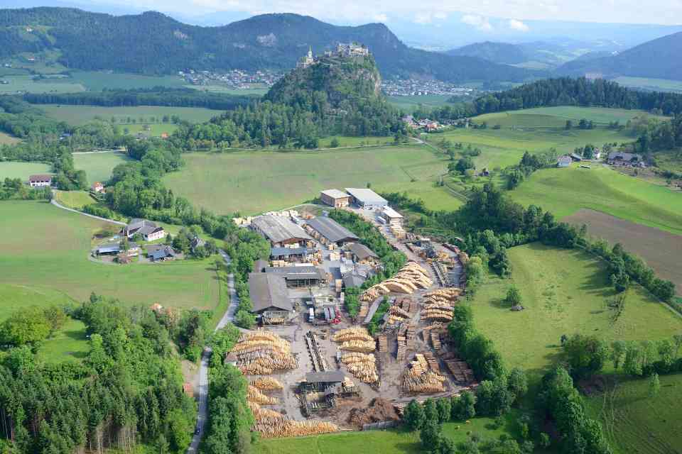 欧盟森林砍伐法规重压木材业 德国企业年增30亿欧元负担(图2)