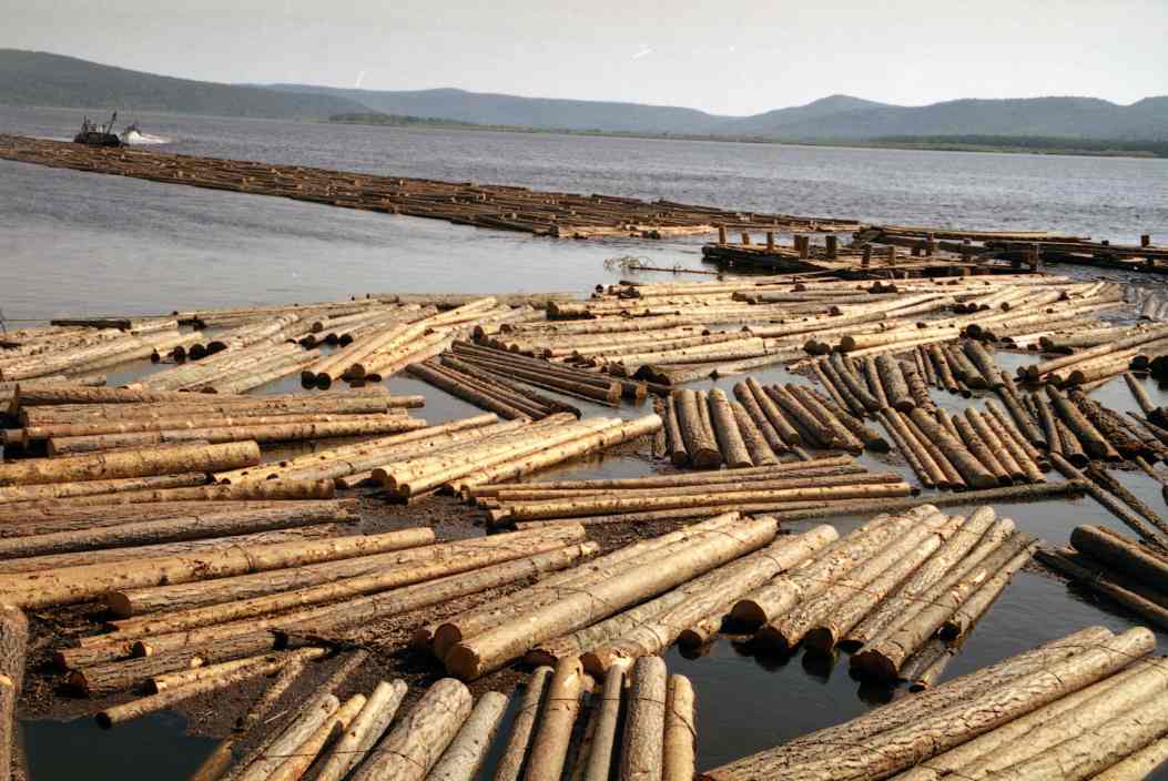 重新贴标掩盖来源！这地发现一起“违禁木材”流入(图2)